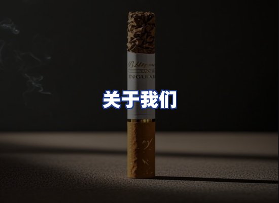 专业团队